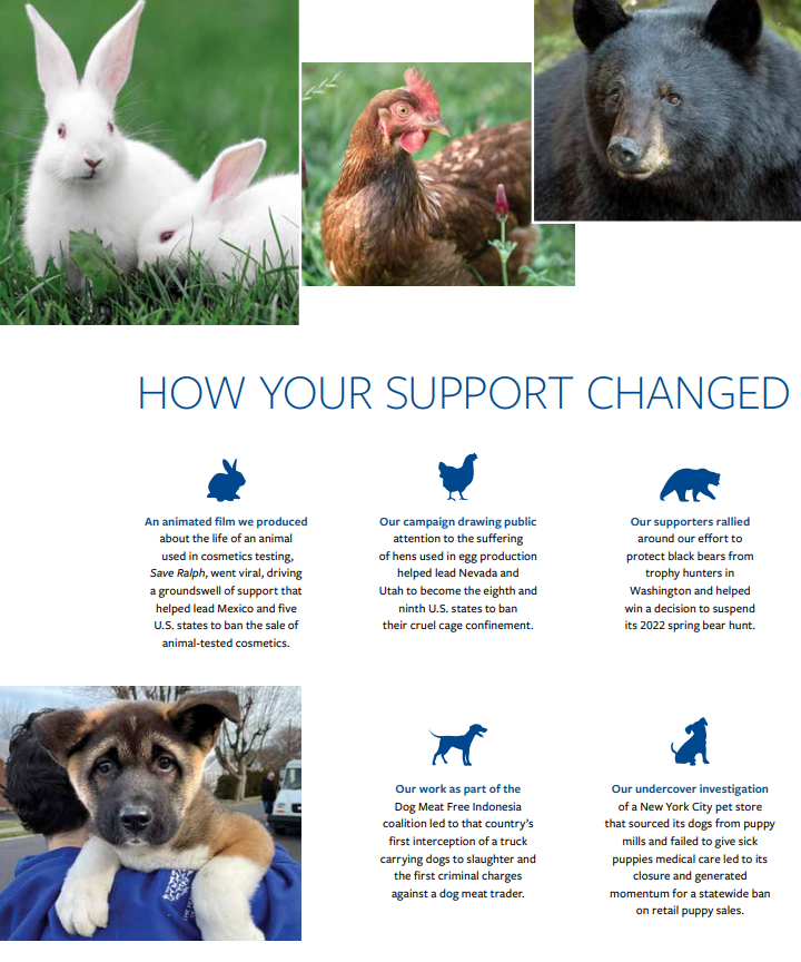 This is a screenshot of the American Humane Society website, a nonprofit with a strong nonprofit annual report due to the emotional imagery.