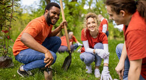 This image shows a group of corporate volunteers engaged with planting trees.