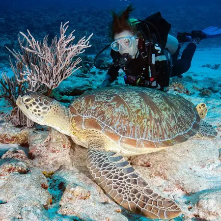 Person under sea with a turtle