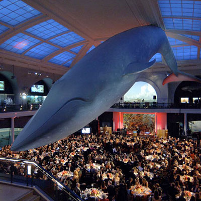 This photo of a museum entrance hall with patrons sitting at tables shows what the gala fundraising event idea looks like.