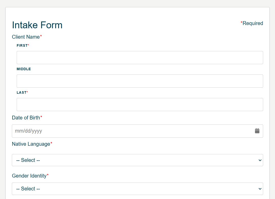 Intake form on Case Management Pro