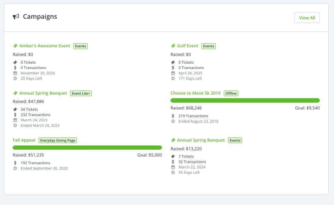 Sample campaign overview screen from Fundraising Essentials