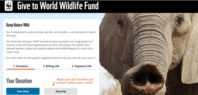 Screenshot of WWF’s donation page design, divided into three segments with an elephant image on the right side.