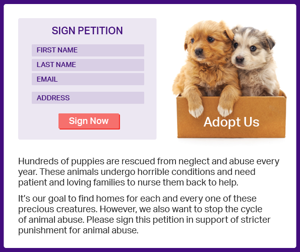 The image is an example of a petition, featuring an image that reminds supporters about the petition’s purpose, a brief paragraph that appeals to supporters’ emotions, and information fields asking for supporters’ names and contact information. 