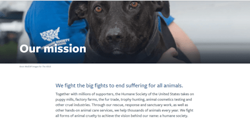 This screenshot shows the Humane Society’s nonprofit About page, which clearly states its purpose and illustrates it with a photo of a dog.