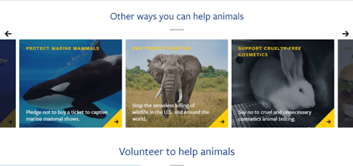 This screenshot is from The Humane Society’s “How You Can Help” page on their nonprofit website, which makes the organization’s purpose clear.