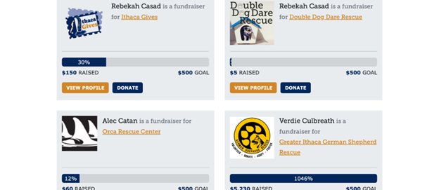 A screenshot of four peer-to-peer fundraising profiles within Bonterra Giving Days