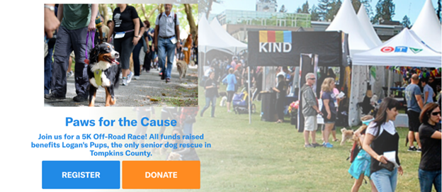 A peer-to-peer fundraising campaign page for a Paws for the Cause 5K