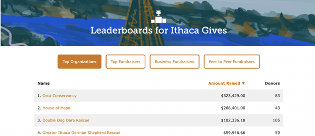 Screenshot of a peer-to-peer fundraising leaderboard displaying the top fundraisers for the Ithaca Gives giving day