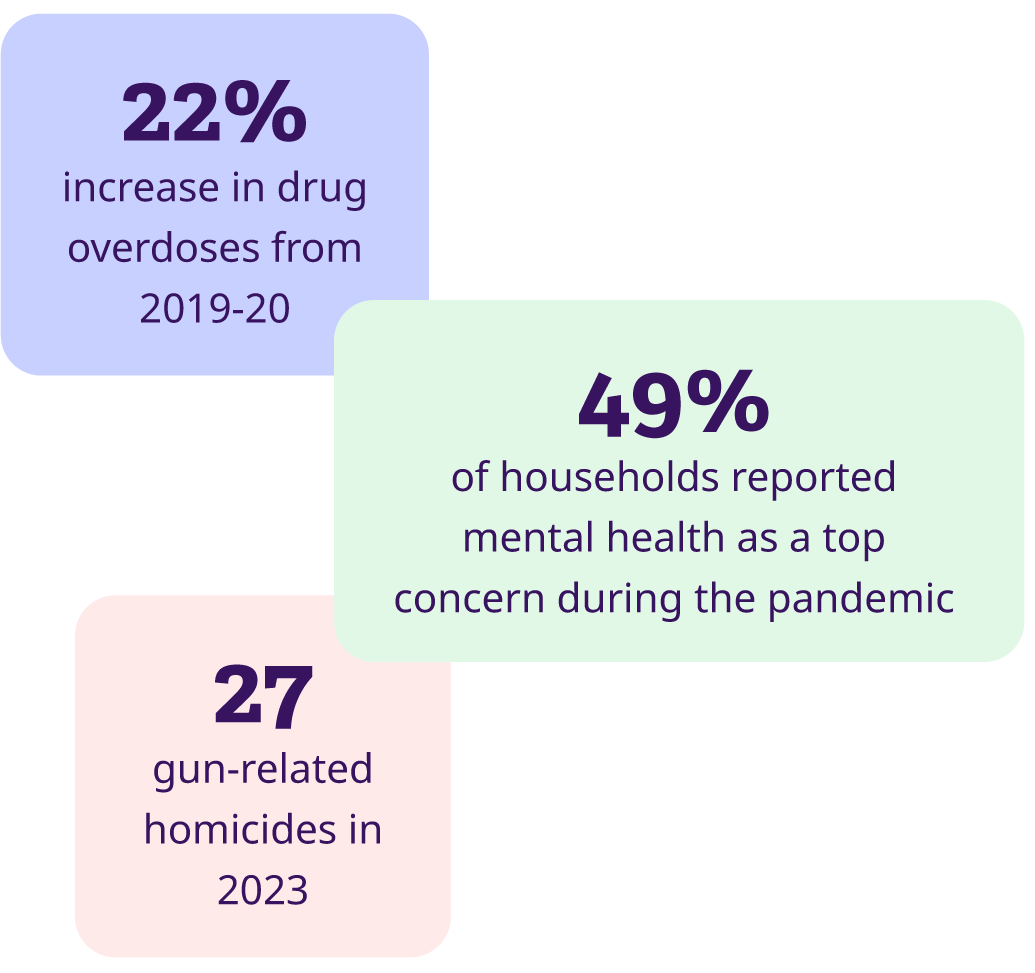 Stats highlighting the needs of the Roanoke community