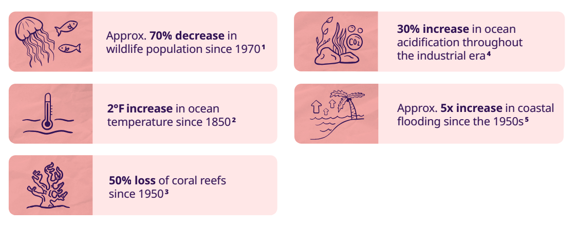 The toll on marine ecosystems