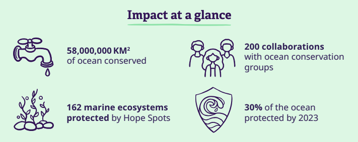 Impact at a glance mission blue